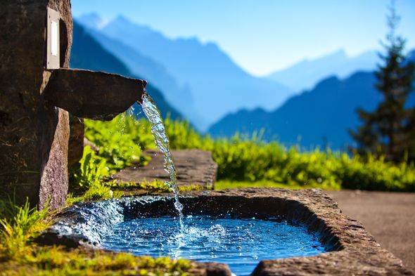 shutterstock_139337444
